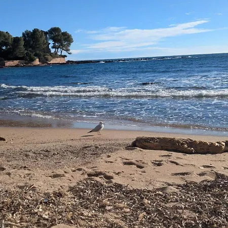 Emeraude Saint-Raphaël