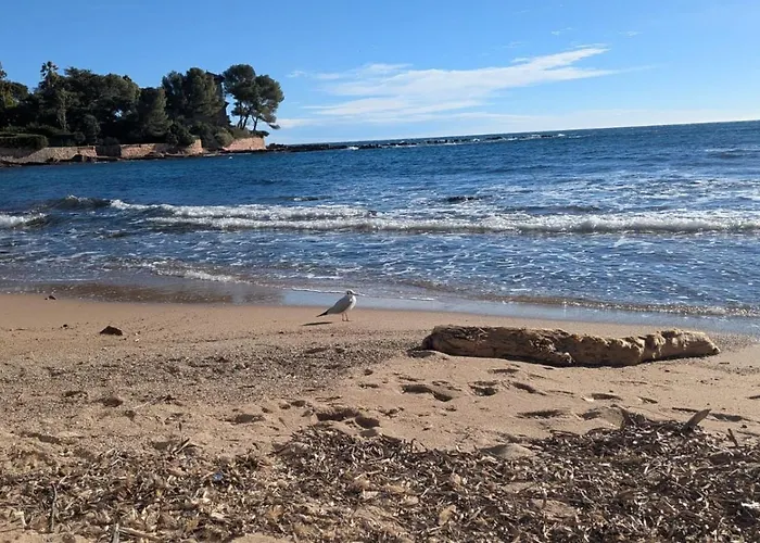 Emeraude Saint-Raphaël